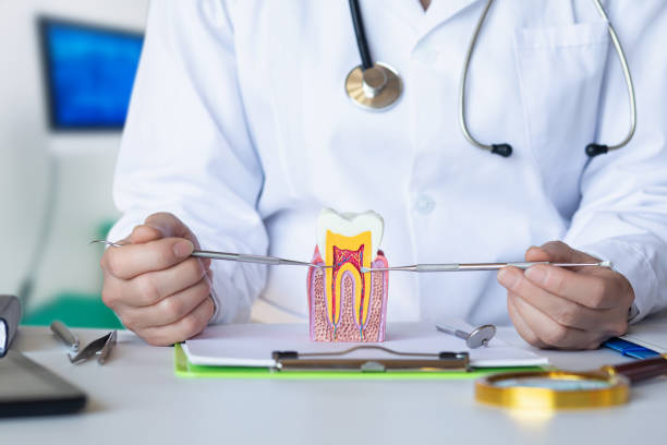 Best Emergency Wisdom Tooth Extraction in Arcadia, IN